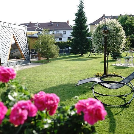 Pension Nr. 13 - B&B Pirna Exterior foto