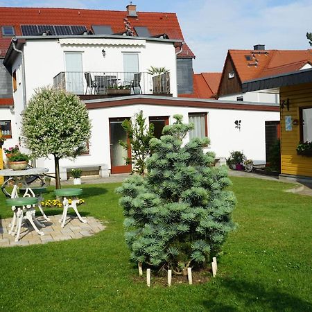 Pension Nr. 13 - B&B Pirna Exterior foto
